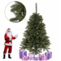 Obrazek Choinka sztuczna jak żywa Świerk kaukaski 150 cm