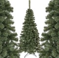Obrazek Choinka sztuczna Jodła kaukaska 220 cm