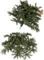 Obrazek Choinka sztuczna jak żywa Świerk kaukaski Premium 250 cm